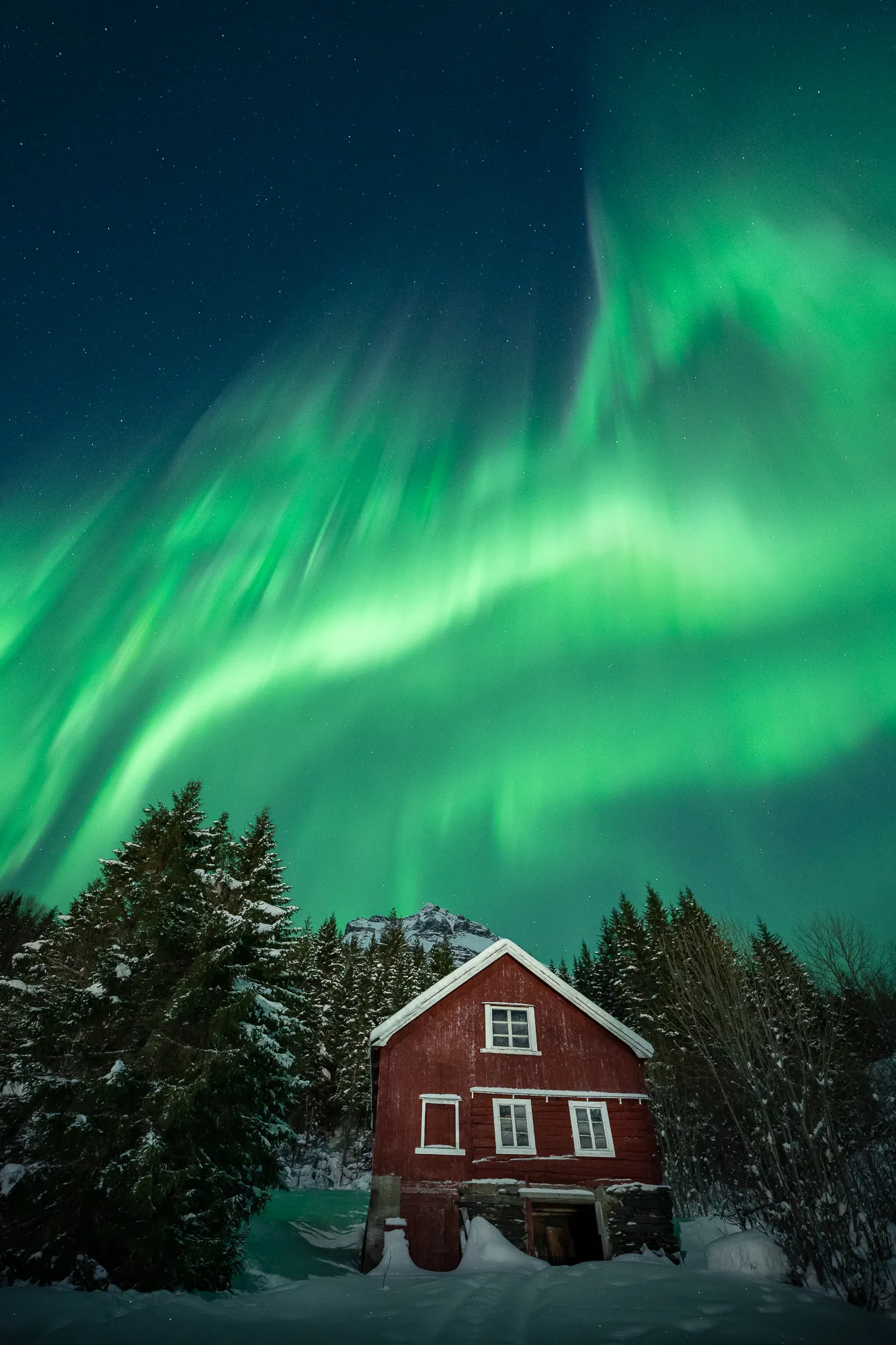 Arctic Fire